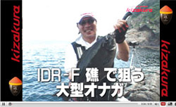 IDR-F �� �ő_���@�ẴC�T�L
