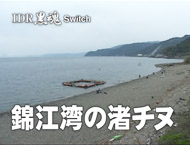 IDR 黒魂 Switch 錦江湾の渚チヌ