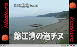 IDR ���� Switch �э]�p�̏��`�k